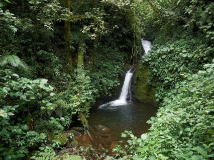 Waterfall in the Monteverde Cloud Forest Reserve