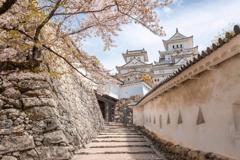 Weir walk at a wall of the castle Himeji