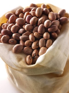 Barlotti beans