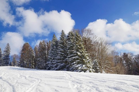 Skiing tracks in a snow-covered winter landscape