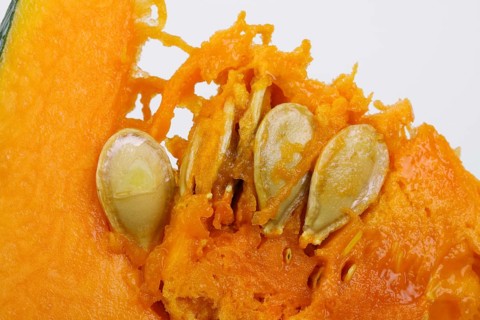 Squash or pumpkin
