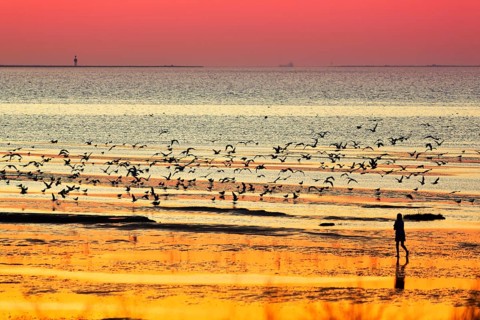 Orange-red sunset over the North Sea