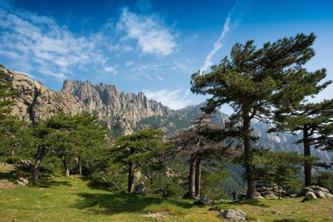 Mountain massif with rocky peaks and pines