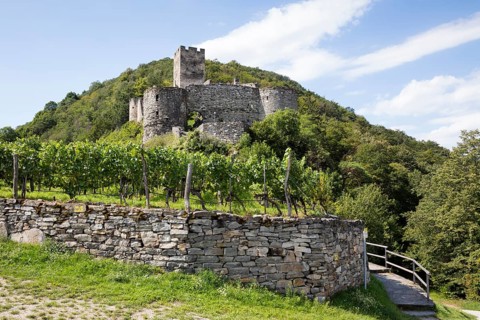 Hinterhaus castle ruins