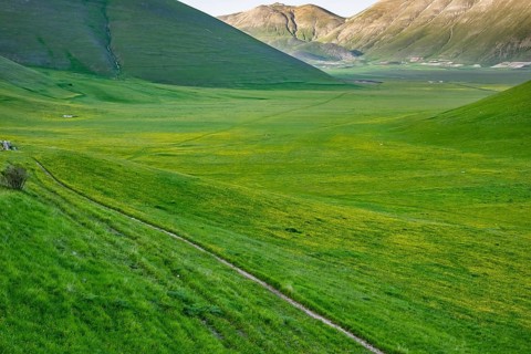 Hiking trail through countryside