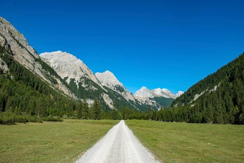 Forest path in the Karwendel valley