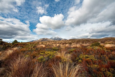 Volcano Mount Tongariro and Mount Ngauruhoe