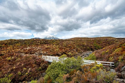 Bridge at Tongariro Northern Circuit