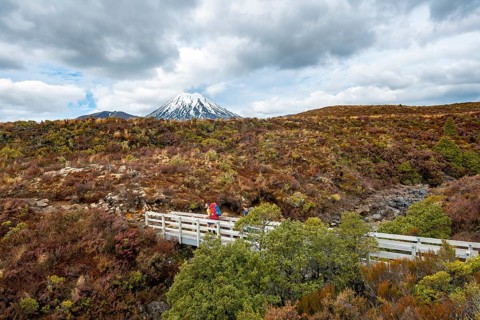 Hikers on bridge