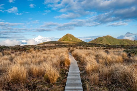 Hiking trail through grassland