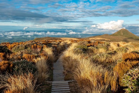 Hiking trail through grassland