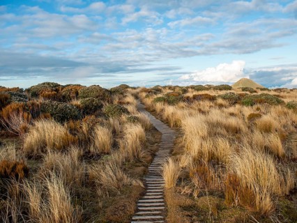 Hiking trail through grass landscape