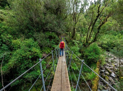 Hiker on suspension bridge in forest