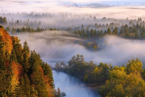 Loisach estuary into the Isar