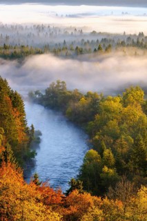 Loisach estuary into the Isar