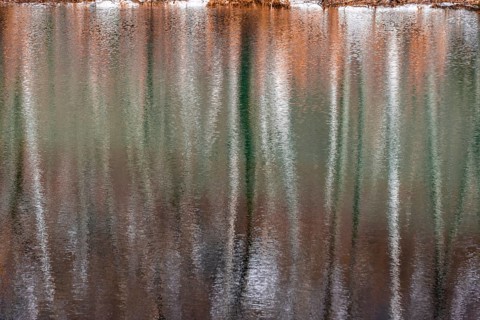 Water reflection