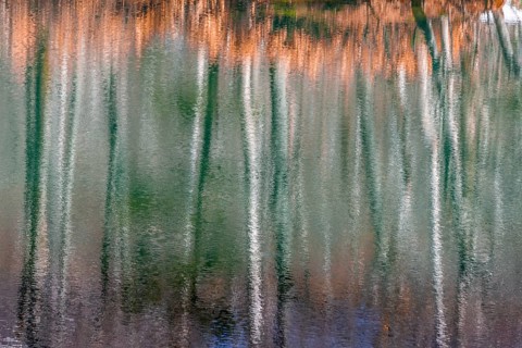 Water reflection