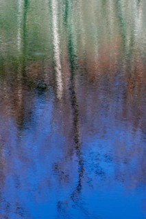 Water reflection