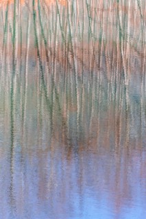 Water reflection