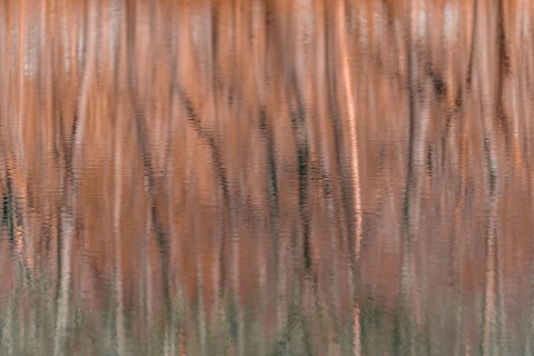 Water reflection