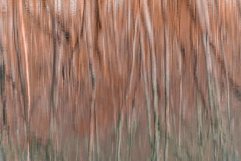Water reflection