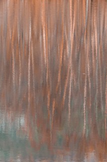 Water reflection