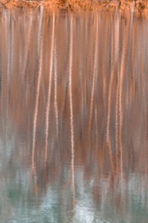 Water reflection