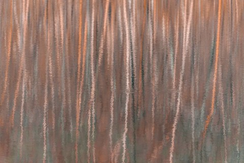 Water reflection