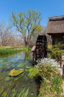 Water mill on a river