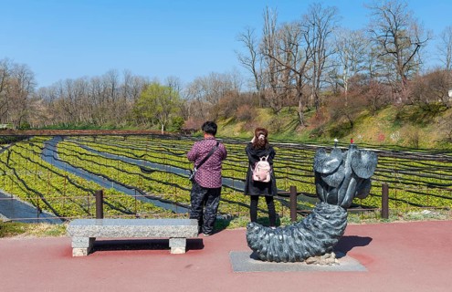 Tourists stand in front of field