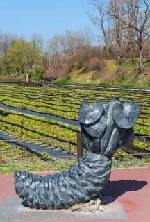 Sculpture Wasabi rhizome in front of Wasabi cultivation