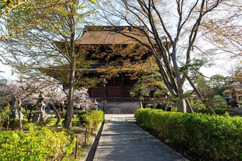 Buddhist Zenko-ji Temple