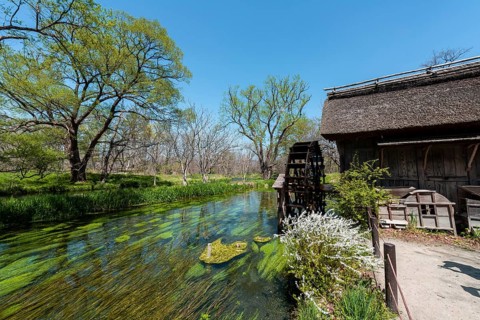 Water mill on a river