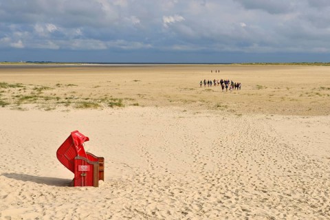 Wadden walker on the sand of the Kniephaken