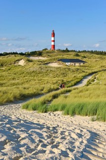 Amrum lighthouse in dune area