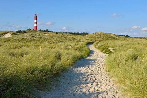 Amrum lighthouse in dune area