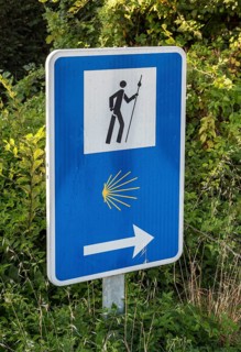 Camino de Santiago road sign with shell symbol