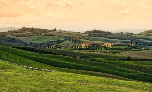 Hilly landscape