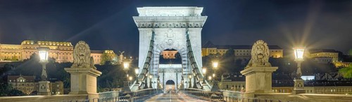 Chain bridge with lions and castle palace at night