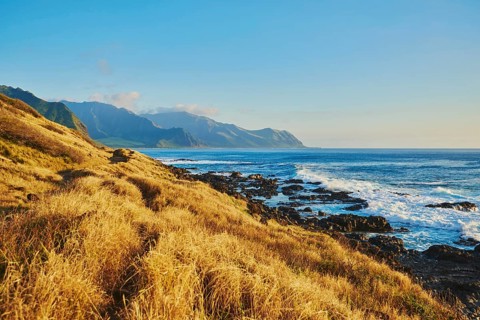 Landscape of the beach at Ka'ena Point State Park