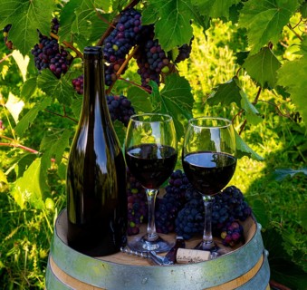 Wine bottle and glasses in vineyard with grapes in background