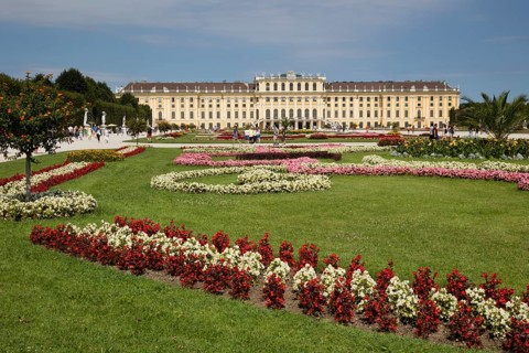 Flowerbeds in front of Schonbrunn Palace