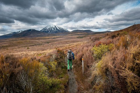 Hikers on hiking trail Tongariro Northern Circuit