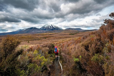 Hikers on hiking trail Tongariro Northern Circuit