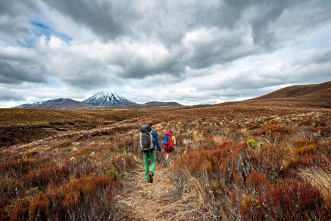 Hikers on hiking trail Tongariro Northern Circuit