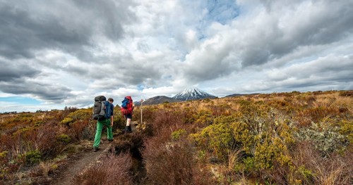 Hikers on hiking trail Tongariro Northern Circuit