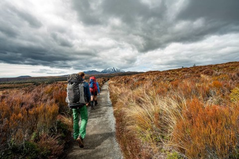 Hikers on hiking trail Tongariro Northern Circuit