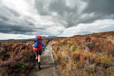 Hikers on hiking trail Tongariro Northern Circuit