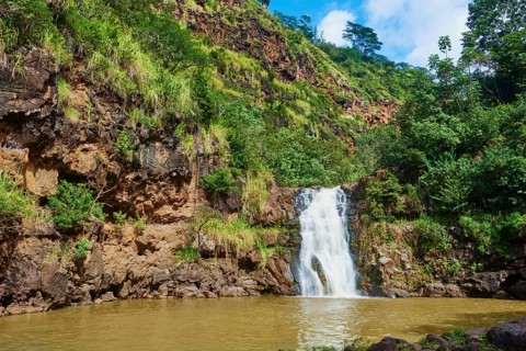 Waimea Falls in the Waimea Valley