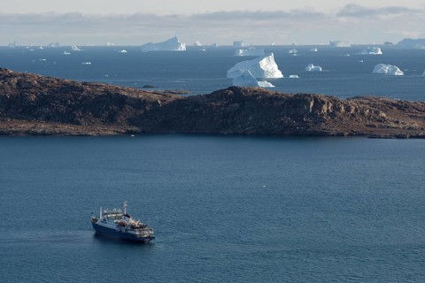 Icebergs at Sydkap
